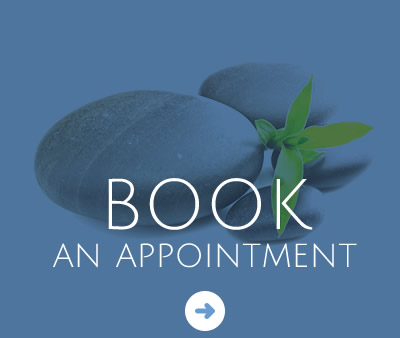 Book an Appointment